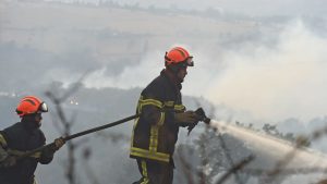 Feu de foret Chateauneuf Loire