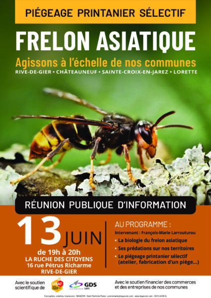 Réunion publique d'information sur le frelon