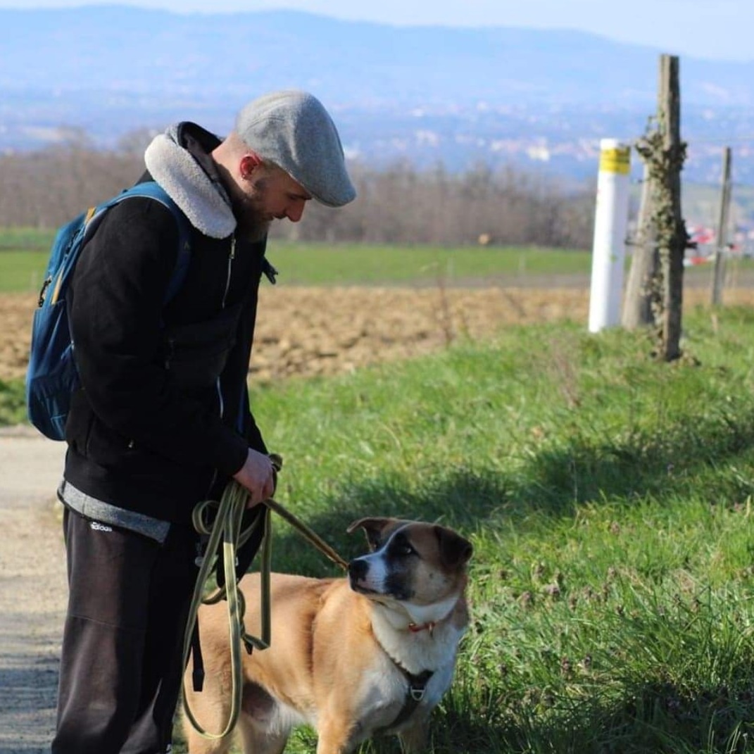 Rémy, Coach Canin